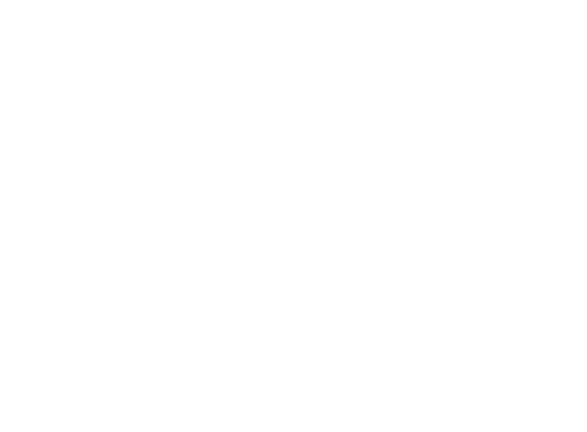 03. LOGO E INICIALES blanco