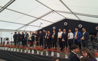 XLI Encuentro Insular de Bandas de Música «JULIO HERNÁNDEZ GÓMEZ»